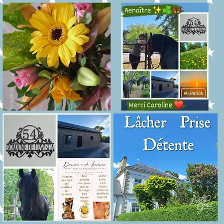 Happiness Neufchâtel-Hardelot