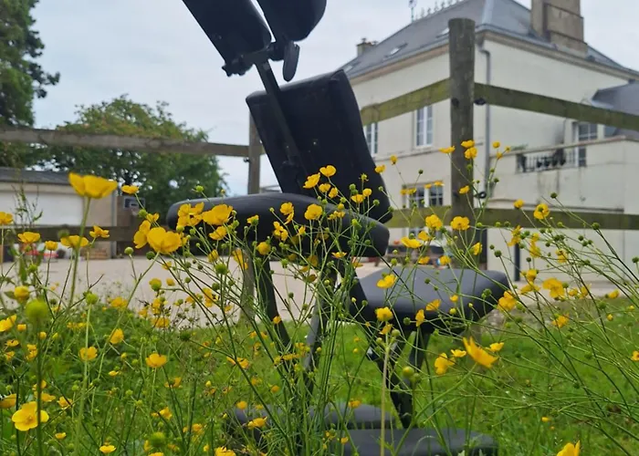 Happiness * Neufchâtel-Hardelot